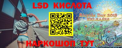 PSILOCYBIN Ярославль