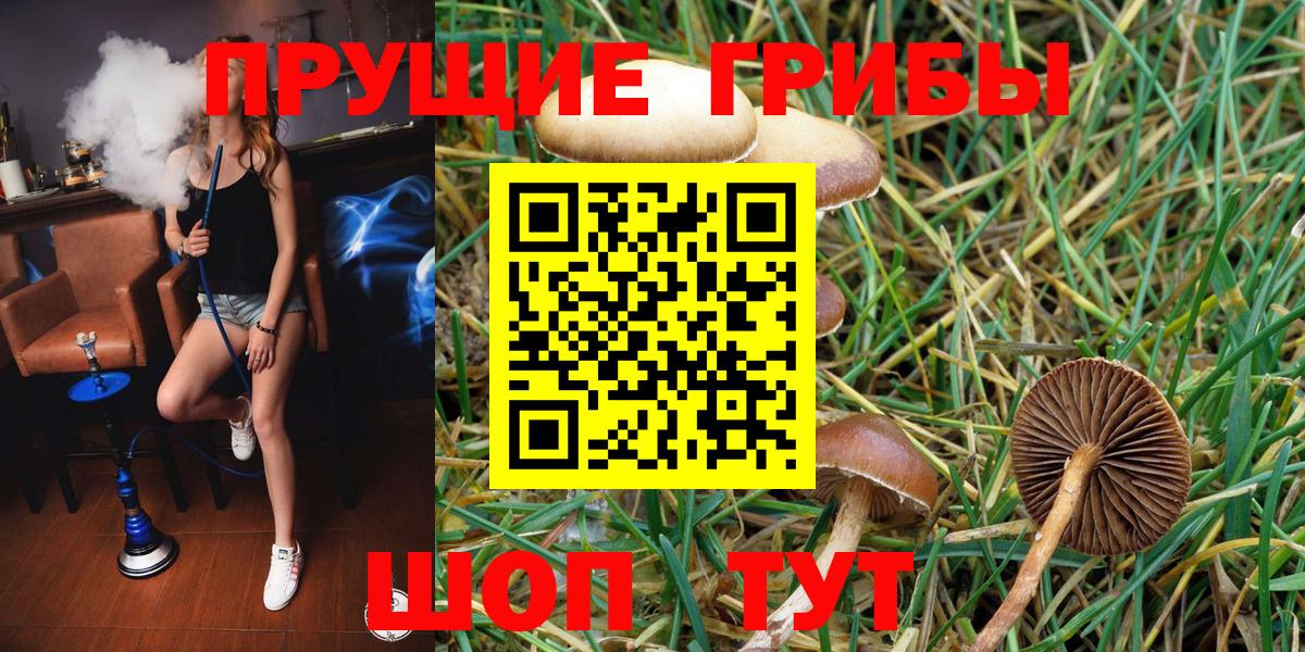 закладки  Псилоцибиновые грибы GOLDEN TEACHER  Вход с VPN  Миасс 